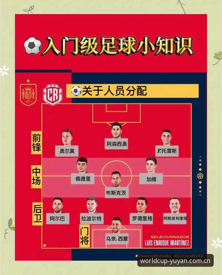 世界杯体育观赛指南：雨燕全球赛事平台使用教程